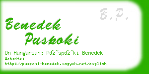 benedek puspoki business card